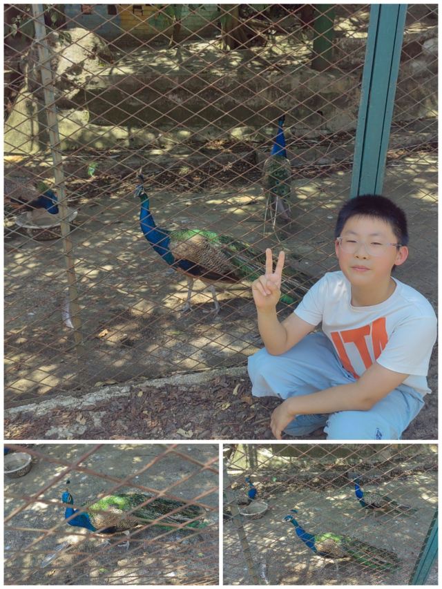皖南之心·龙泉洞旅行图片 10
