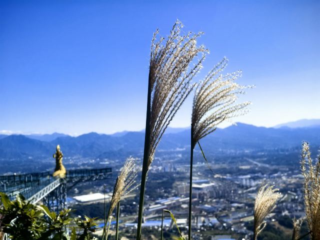 安徽飞旗寨风景区旅行图片 3
