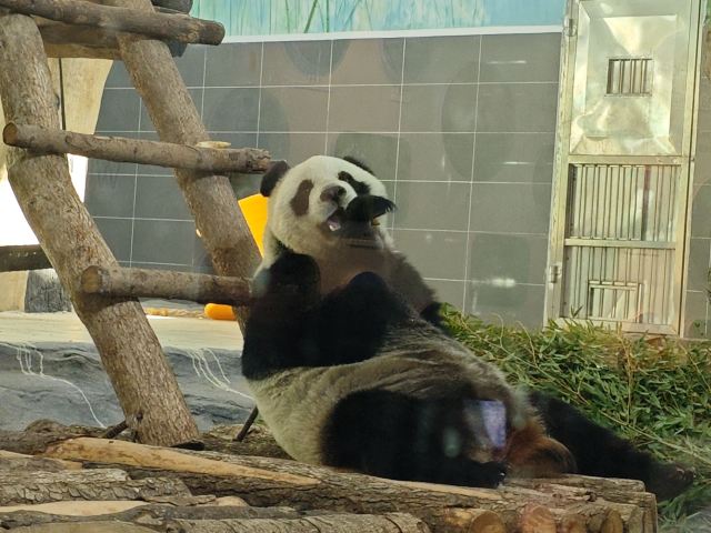 温州动物园旅行图片 5
