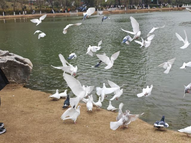 大明宫国家遗址公园旅行图片 2