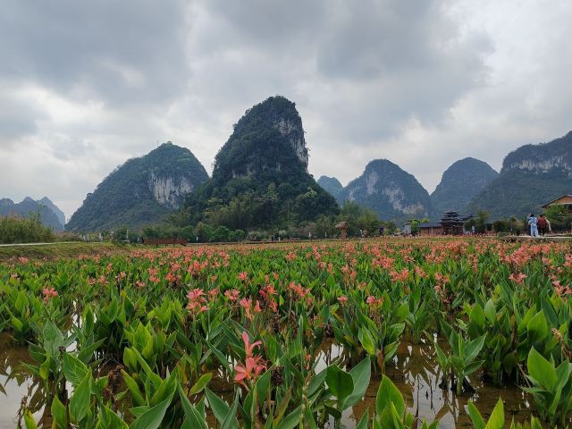 鹅泉风景区旅行图片 4