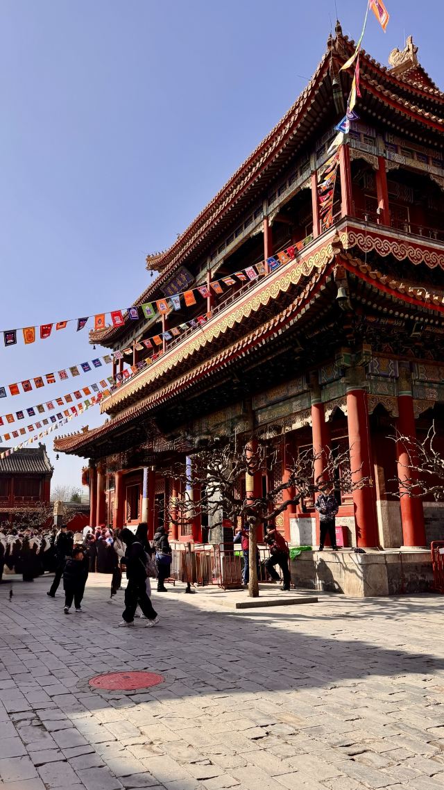 雍和宫旅行图片 4
