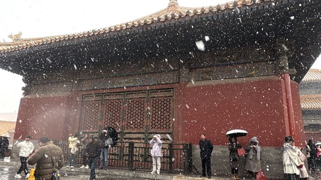 故宫博物院旅行图片 4