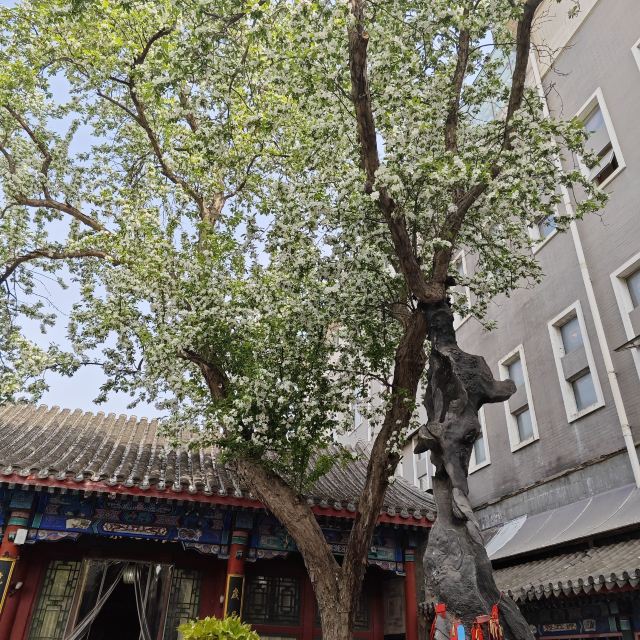 纪晓岚故居旅行图片 2