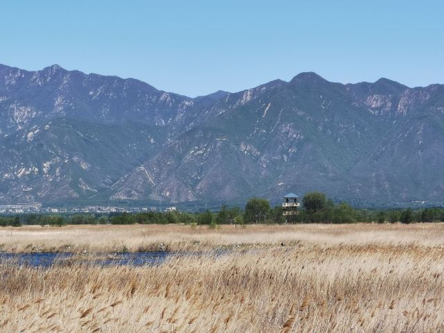 野鸭湖国家湿地公园旅行图片 1