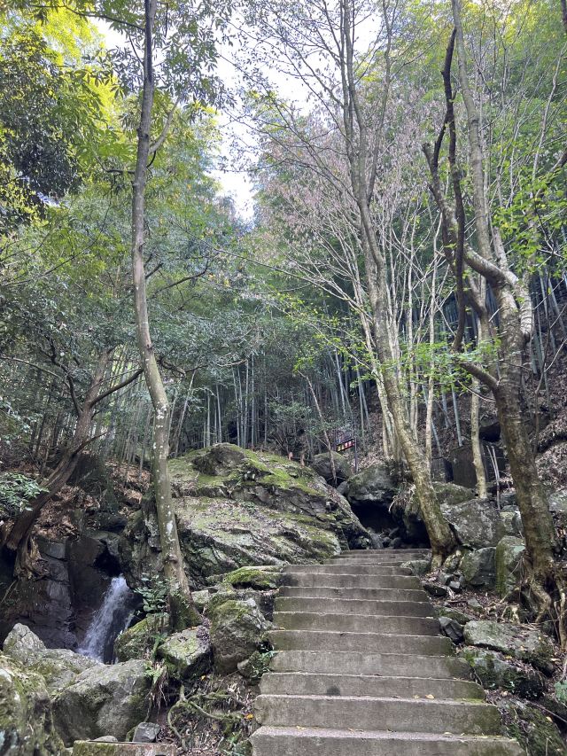 藏龙百瀑旅行图片 1