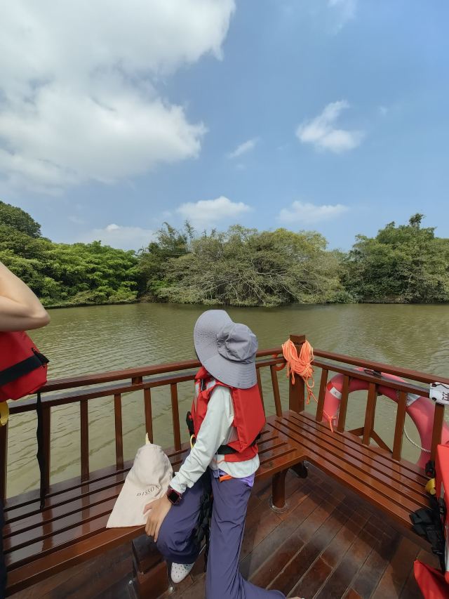 小鸟天堂旅行图片 1