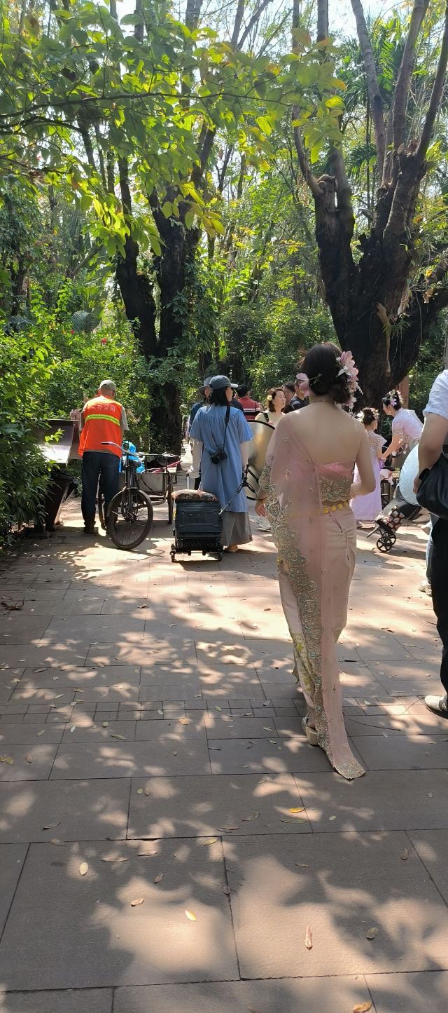 曼听御花园景区旅行图片 6