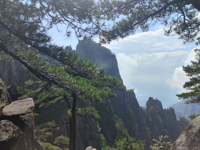 黄山风景区旅行图片 2