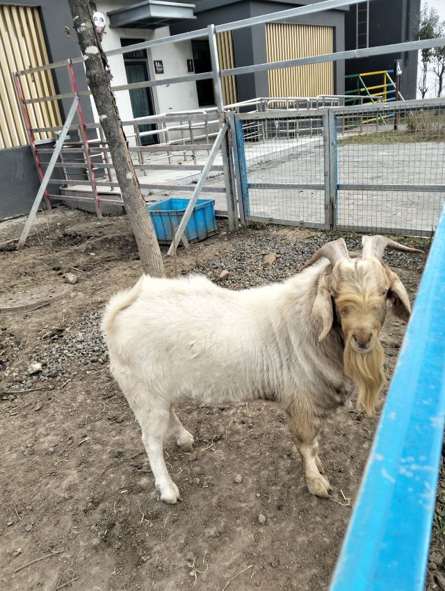 牡丹江珍稀动物园旅行图片 5
