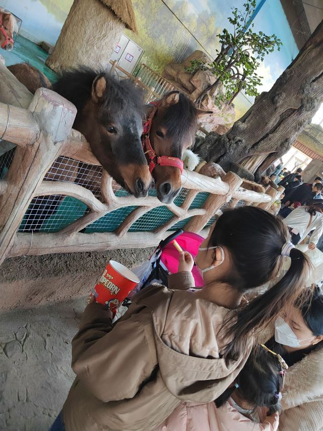 沈阳龙之梦动物科普乐园旅行图片 7