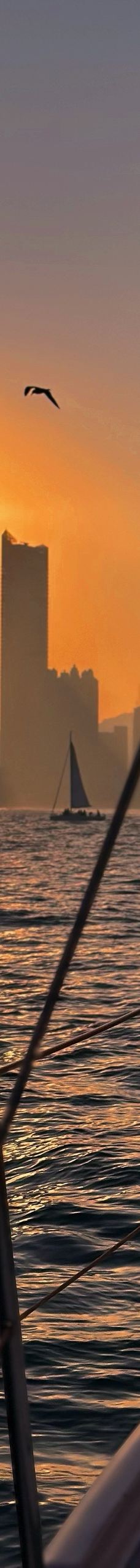 青岛-YoYo_7I3E4Y5V