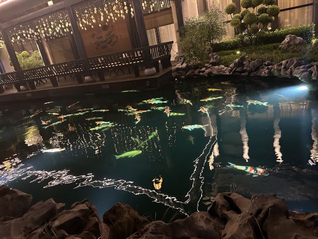 袁家村旅行图片 3