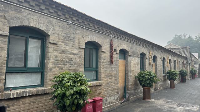 大寨森林公园旅行图片 3