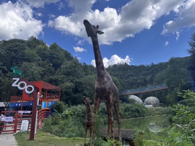 鹿鸣谷景区旅行图片 1