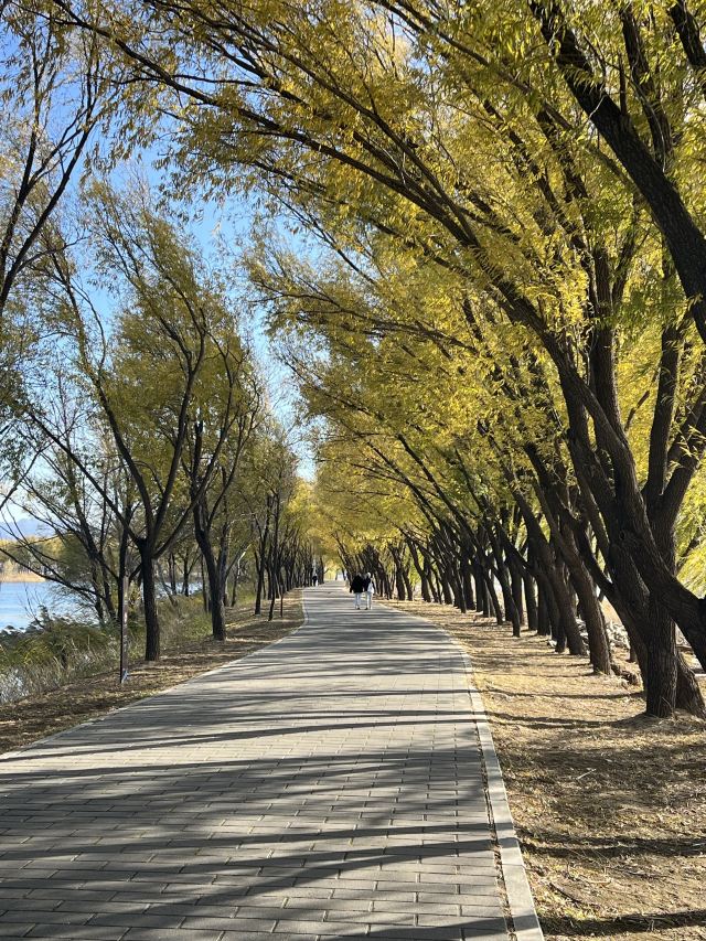 野鸭湖国家湿地公园旅行图片 3