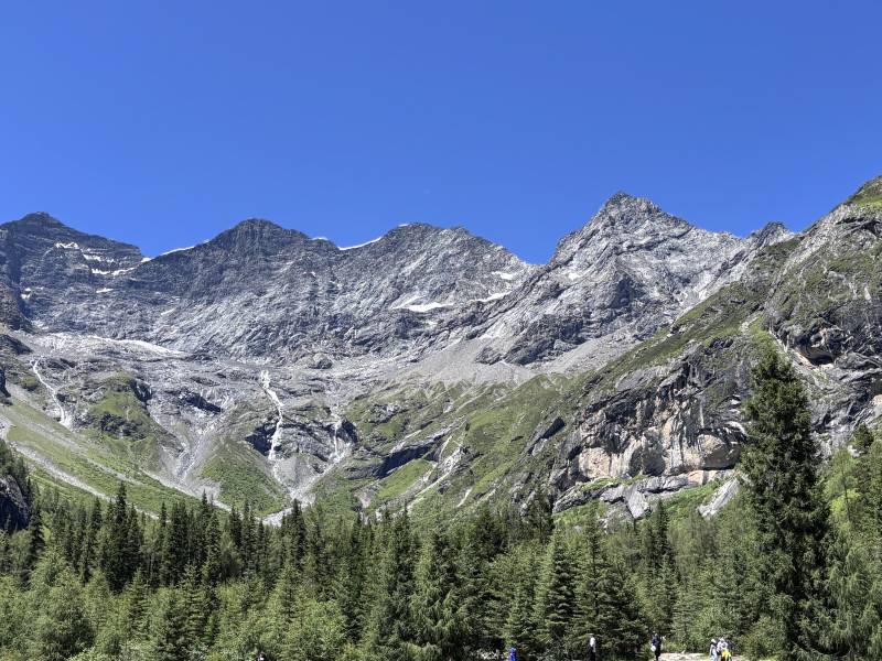 泡泡玛特