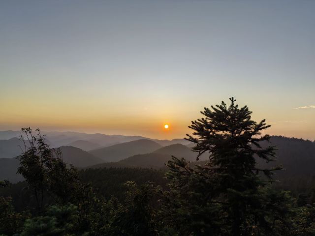 武陵山国家森林公园旅行图片 1