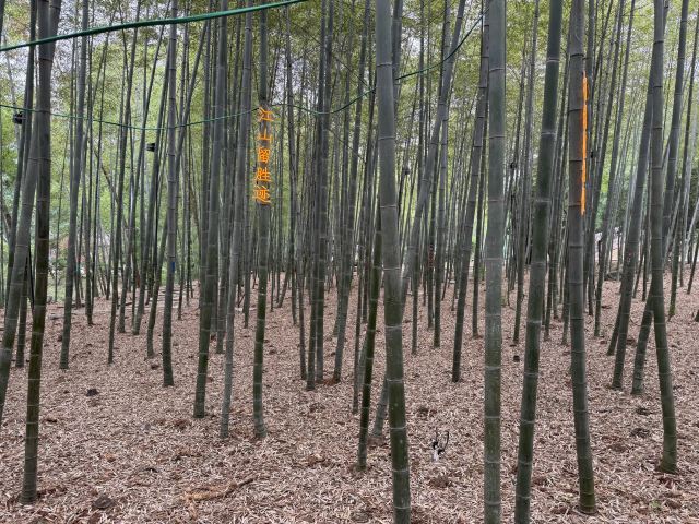 鹿门山旅行图片 3