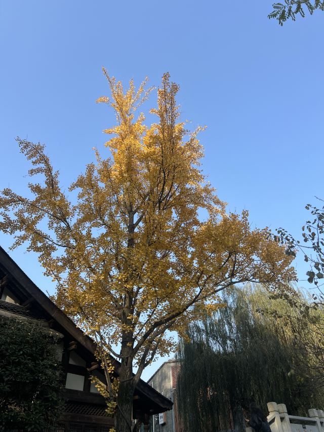 长岛南北长山旅游景区旅行图片 2