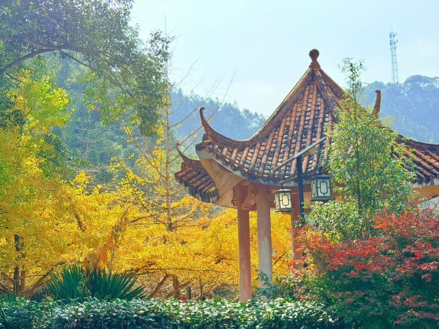 南雄帽子峰旅游景区旅行图片 4
