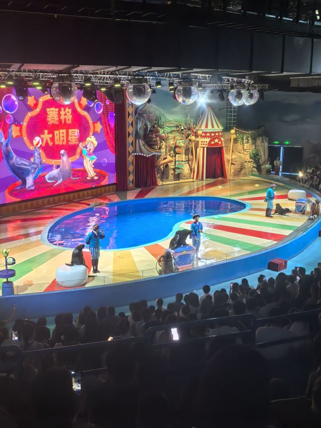 长沙湘江海洋王国旅行图片 2