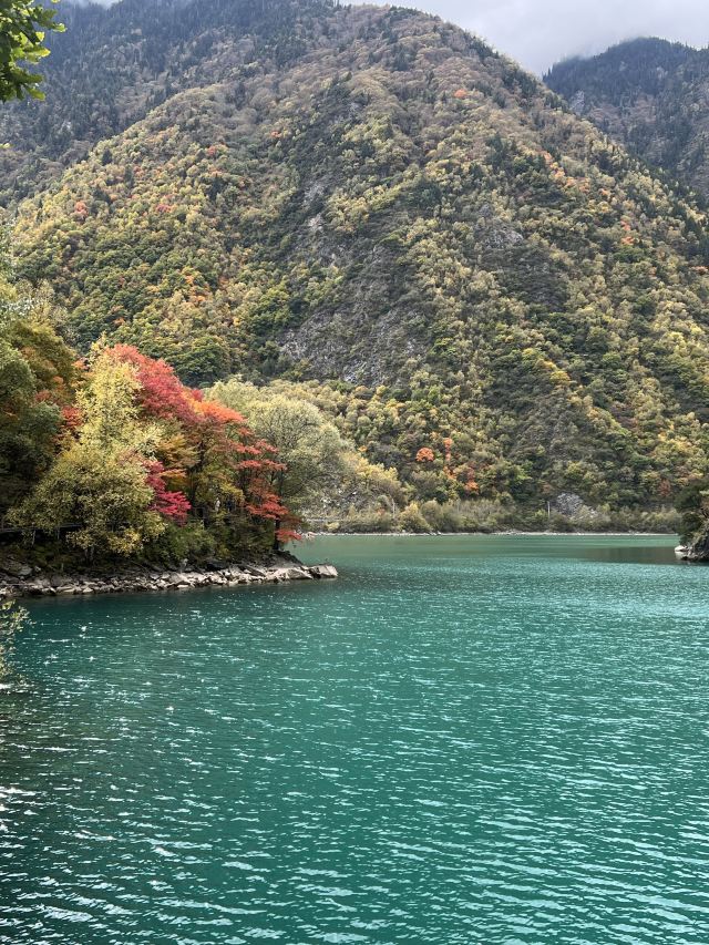 叠溪松坪沟景区旅行图片 2