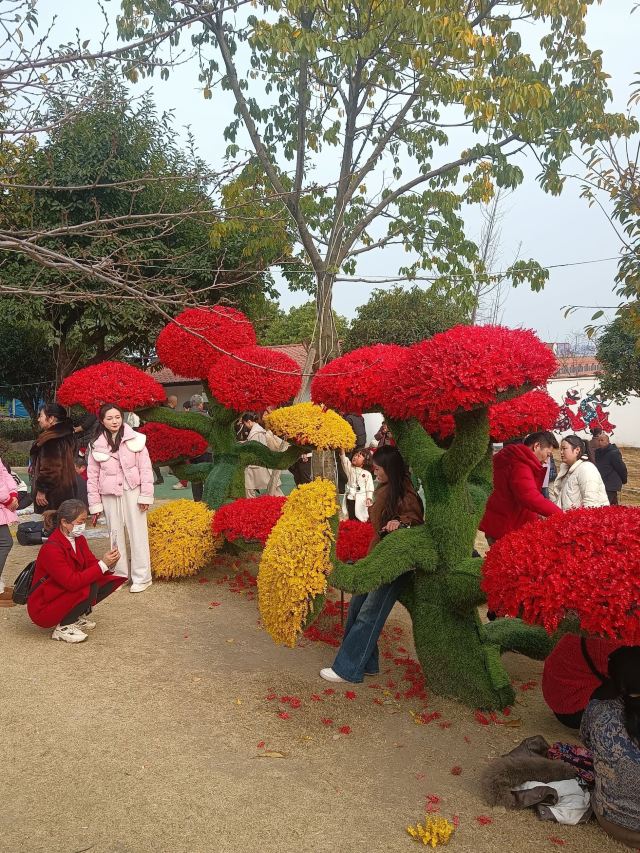 音乐·百花谷旅行图片 5