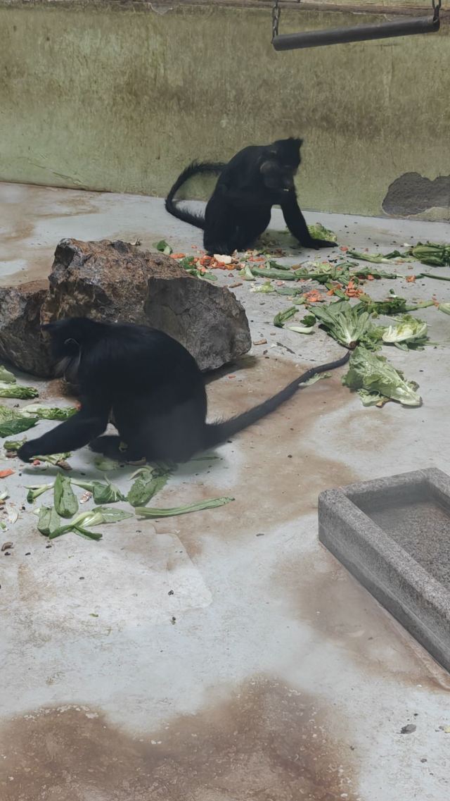 太原动物园旅行图片 7