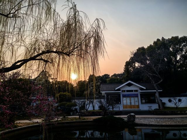 荣氏梅园旅行图片 4