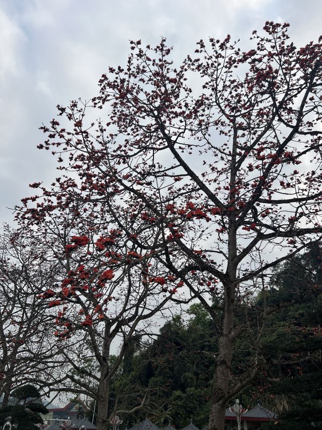 友谊关景区旅行图片 2