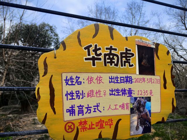 上海动物园旅行图片 6