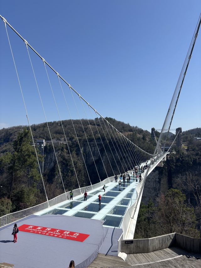 张家界大峡谷旅行图片 2