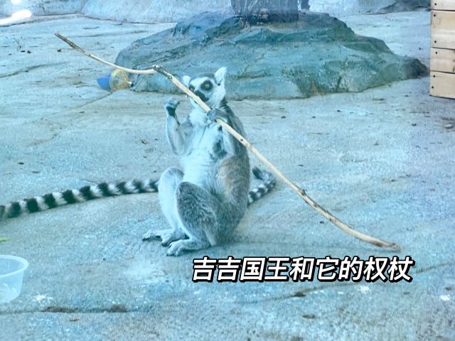 牡丹江珍稀动物园旅行图片 9