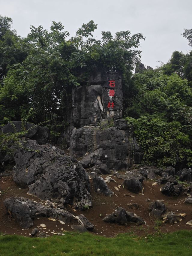 石景林景区旅行图片 1