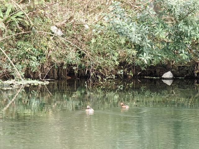 黄姚诗画姚江景区旅行图片 2