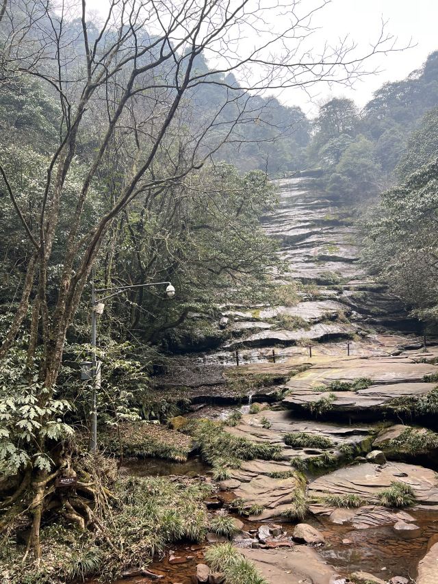 成都天台山旅游景区旅行图片 1