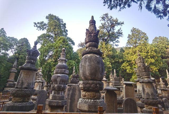 灵岩寺景区旅行图片 6