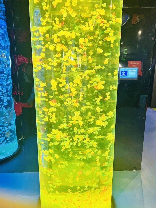 哈尔滨极地公园旅行图片 4