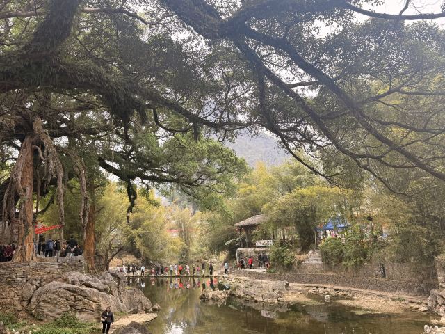 黄姚古镇景区旅行图片 4