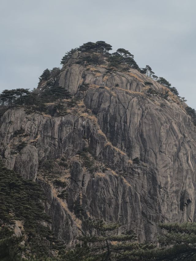 黄山风景区旅行图片 8