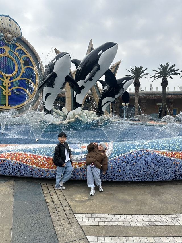 上海海昌海洋公园旅行图片 1