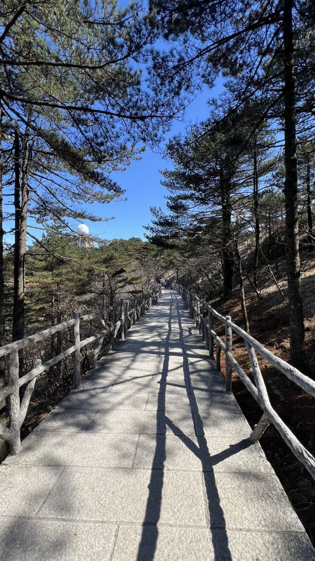 黄山风景区旅行图片 3