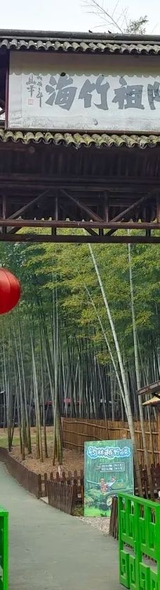 陶祖圣境-宜兴-大蘑