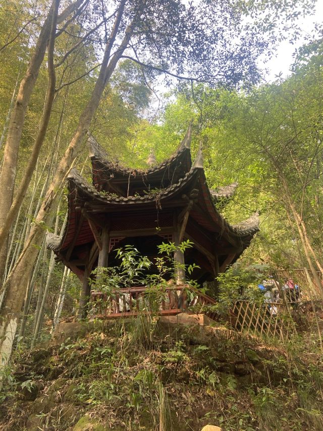 中岩寺景区旅行图片 2
