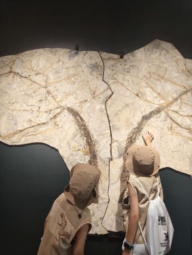 朝阳化石谷旅行图片 3