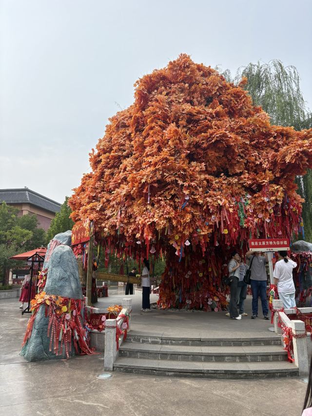 太原方特东方神画旅行图片 6
