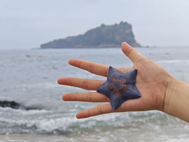 棒棰岛旅行图片 7