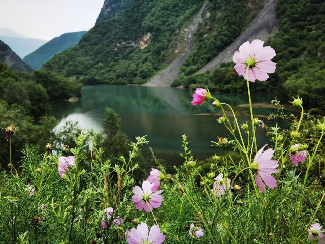 叠溪松坪沟景区旅行图片 5
