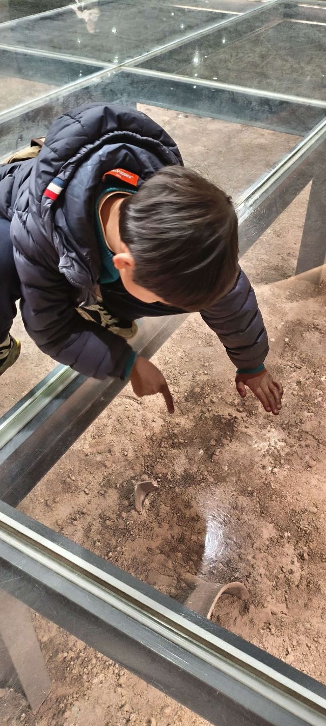 上海广富林文化遗址旅行图片 1